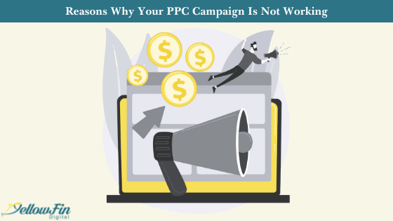 Reasons Why Your PPC Campaign Is Not Working